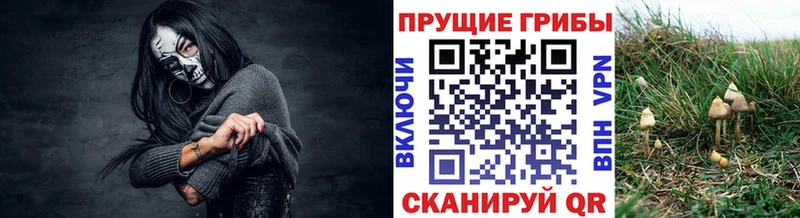 Галлюциногенные грибы Magic Shrooms наркота Усмань